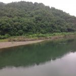 近くを流れる長良川です。